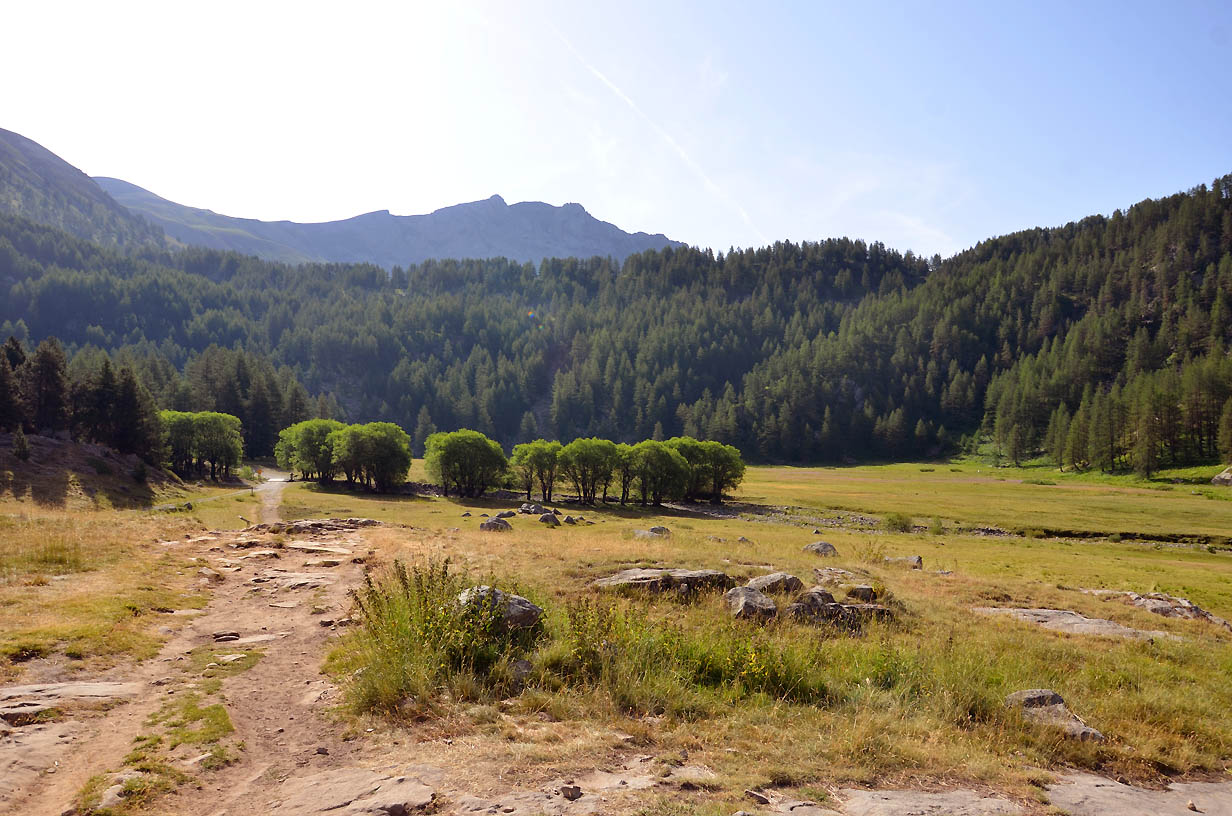 La plaine du Laus en montant au lac d'Allos - Jausier 2017 - Balades en famille