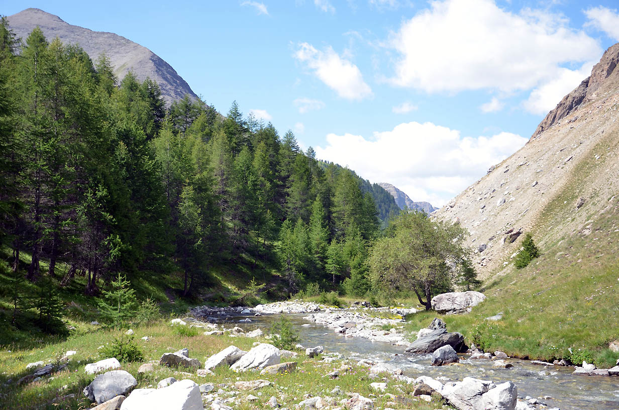 L'Ubaye coule au travers des prés de Rubren | Jausiers 2017