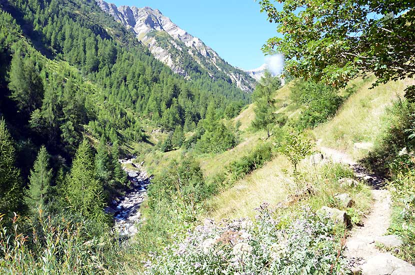 Le sentier sur la basse valle