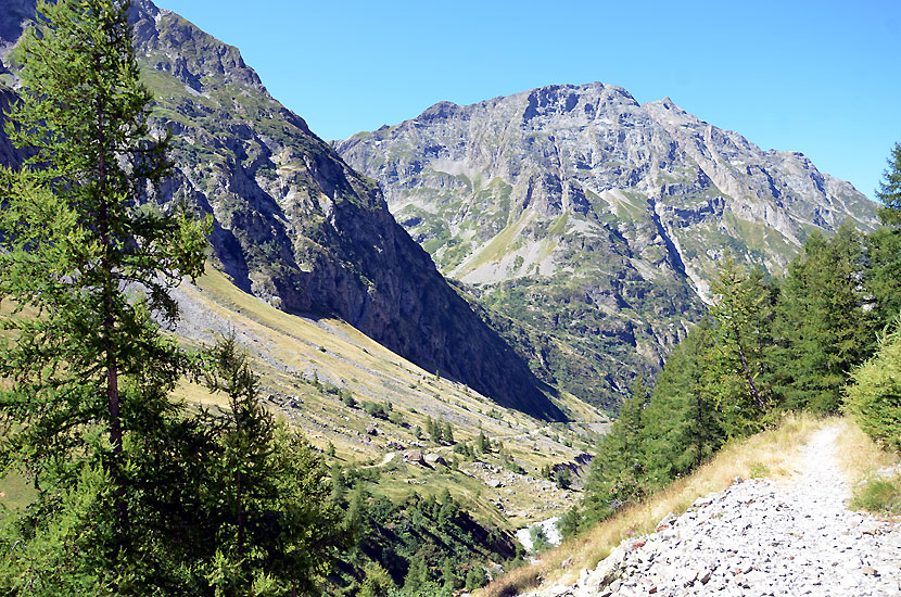 Vue sur le sentier du retour