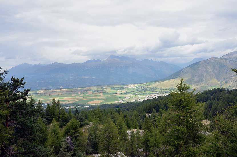 Les cultures dans le champsaur