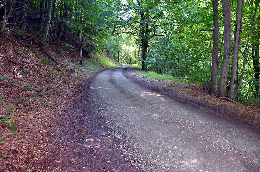 La piste