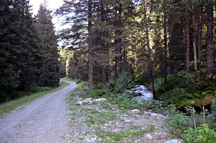 Sentier le long du torrent du Pleynet