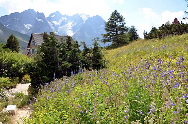 Le glacier du Lautaret depuis le jardin alpin