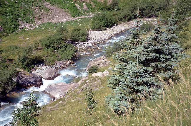 Le torrent de la Romanche