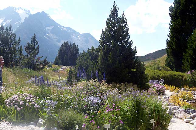 Le jardin alpin