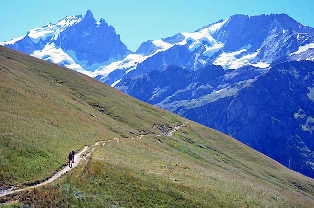 Le plateau d'Emparis, derrire la meije