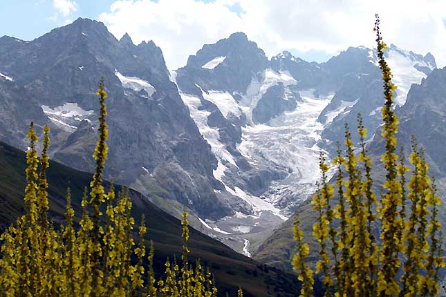 Le glacier du Lautaret