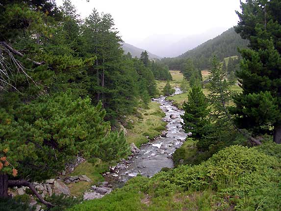 La valle de la Clare et son torrent