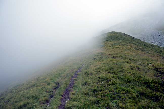 Le sentier sous le brouillard