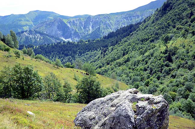 La combe du Tepey et le Mont Rond