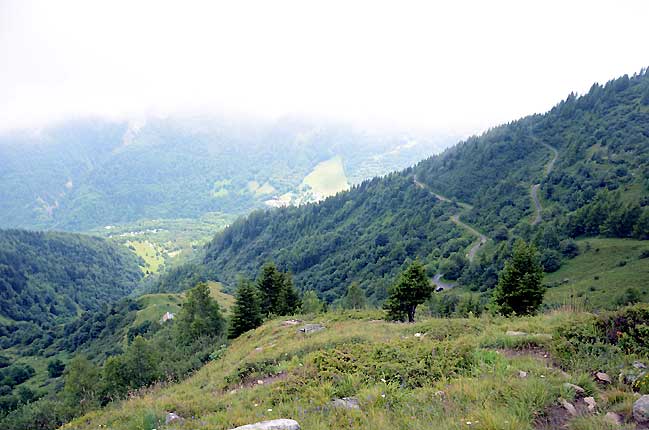 La route forestire et le virage parking