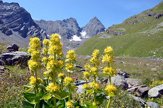 Les aiguilles d'Arves