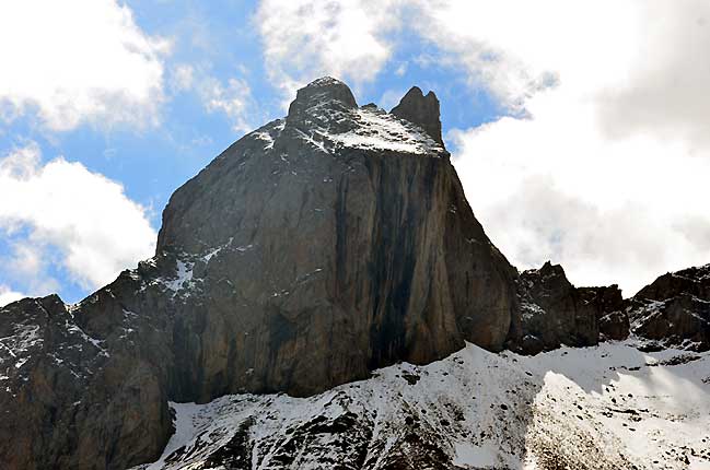 Aiguille, la tte de chat