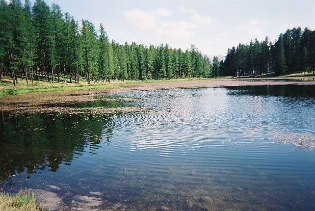 Le reposant lac de la Roue