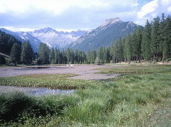 Le reposant lac de la Roue