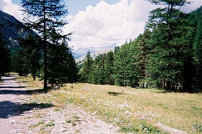 Le chemin retour, en fond St-Vran