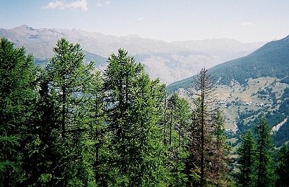 Vue vers la valle d'Aiguilles