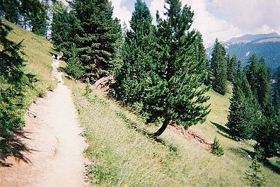 Sentier en balcon, avant l'arrive au lac