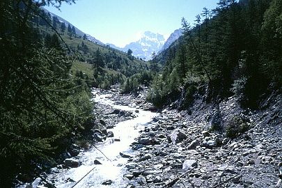 Le torrent du Guil et ses berges endommages