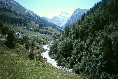 Panorama sur le mont Viso