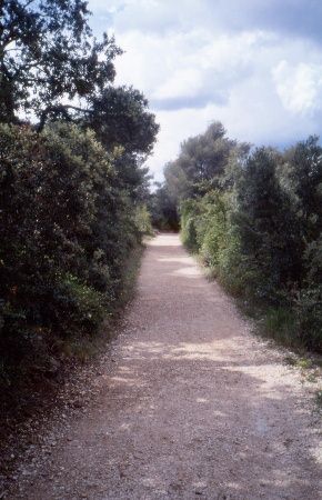 Sur le retour, le sentier a plus de charmes