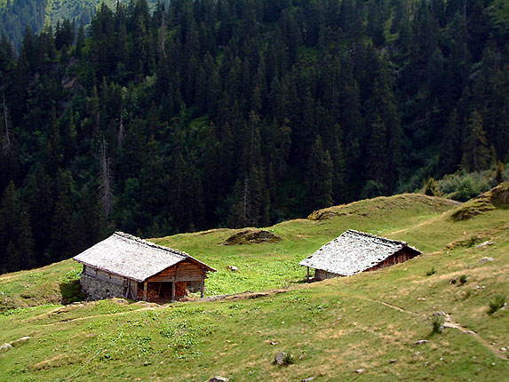 Chalets Les Combettes