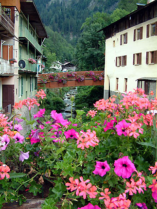 Ponts et fleurs sur le Doron