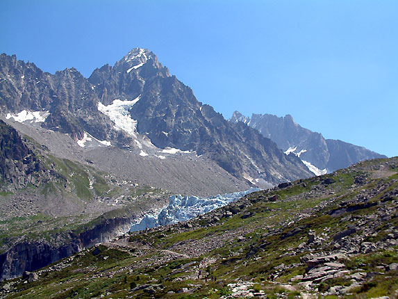 Langue du glacier