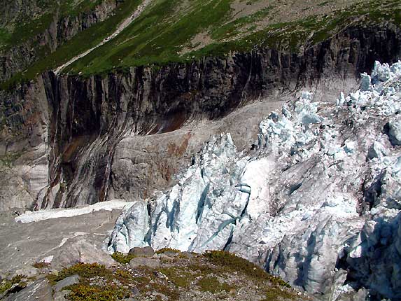 Langue du glacier