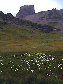 Linaigrette et Pierra Menta