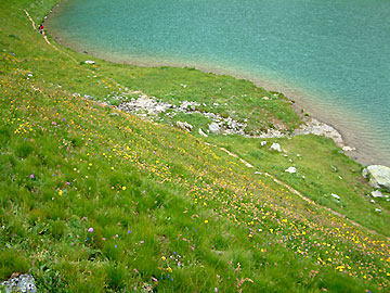 Lac d'Amour