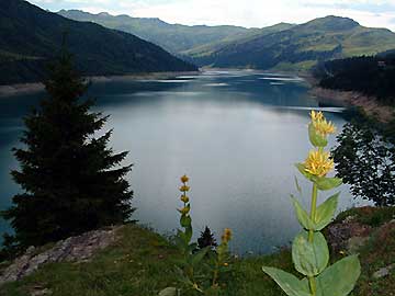 Le lac de Roselend