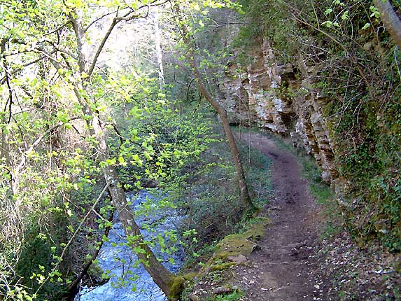 Le sentier le long du cours d'eau