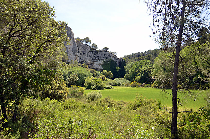 Clairire sur le retour, dans le vallon de Roque Rousse