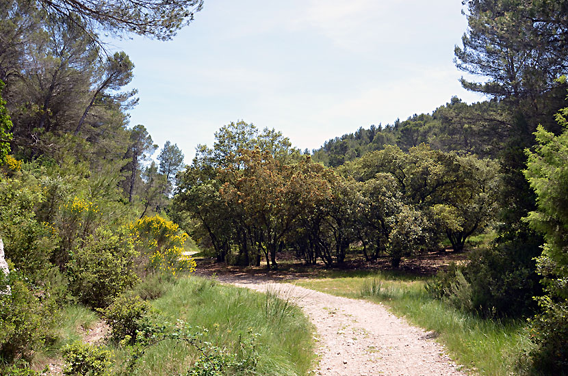 Vallon de Roque Rousse