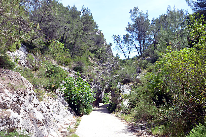 Vallon de Roque Rousse