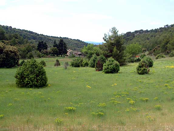 La plaine de Valescure