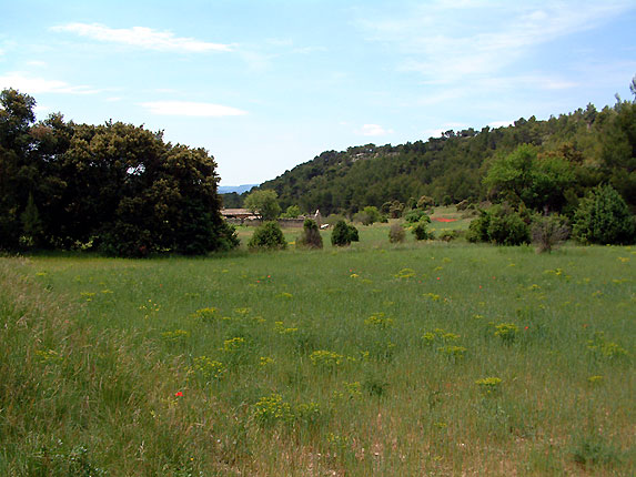 La plaine de Valescure