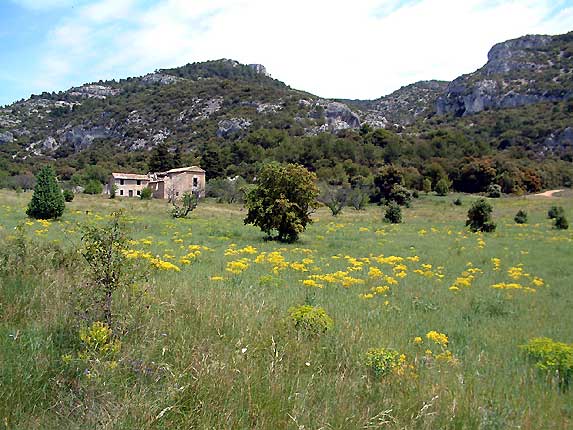 La plaine de Valescure