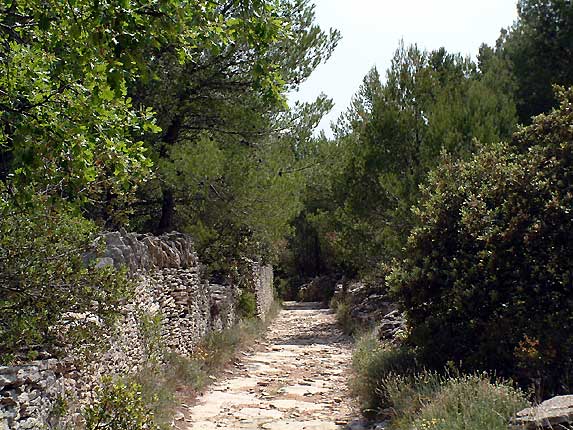 Le chemin des Soleillants