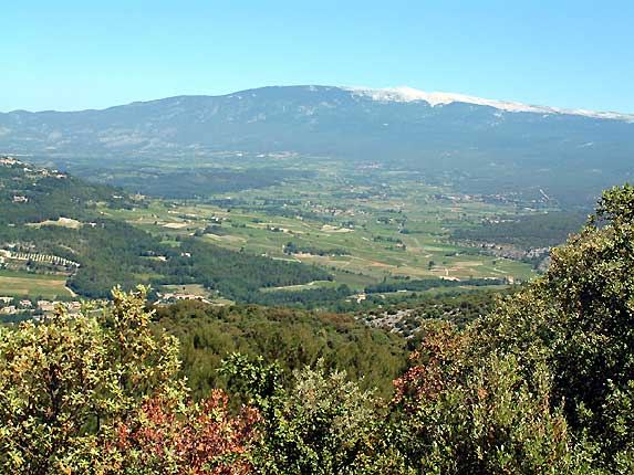 Le mont Ventoux et la plaine