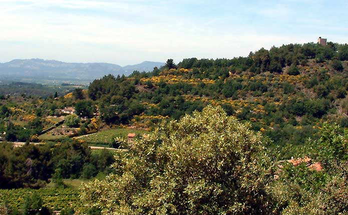 Paysage provenal