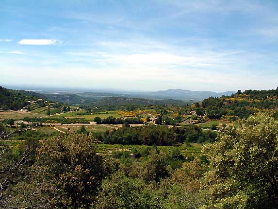 Paysage provenal