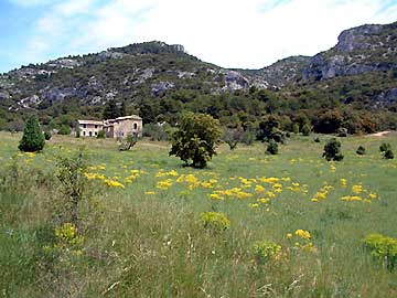 La plaine de Valescure