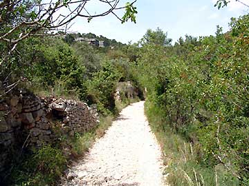 Sentier avant l'arrive  Fontaine