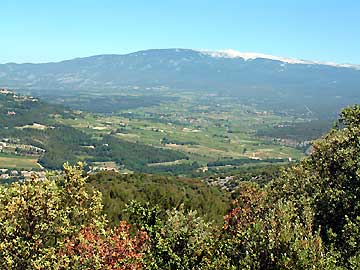 Le mont Ventoux et la plaine