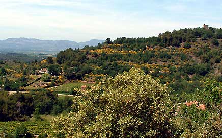 Paysage provenal