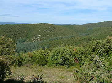 Le chemin de la cdraie