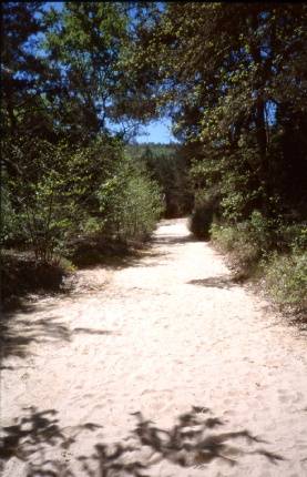 La rivire de sable